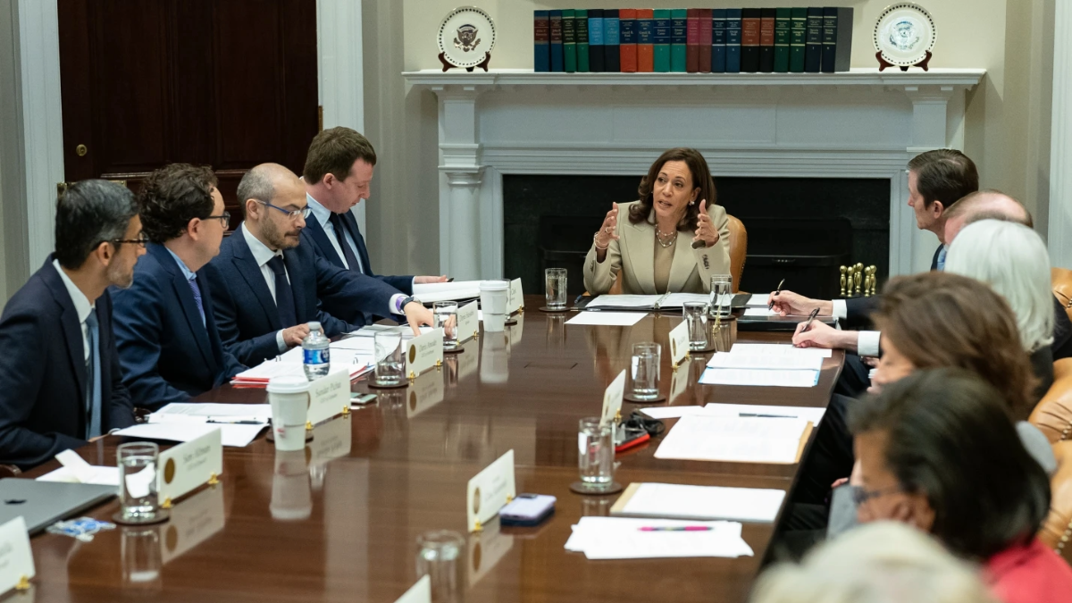 Vice President Kamala Harris, pictured speaking with AI company executives